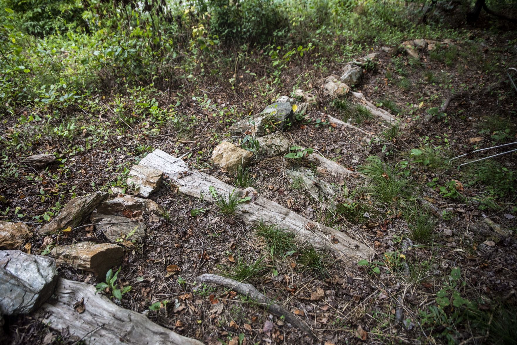 Welcome Home, Stonewall Mill